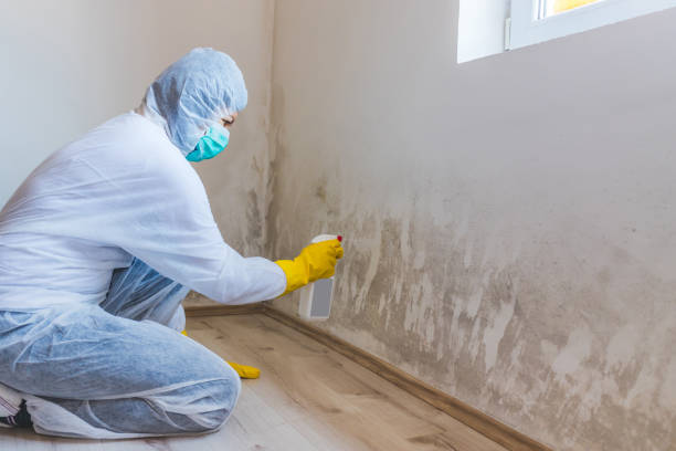 Crawl Space Mold Removal in West Allis, WI
