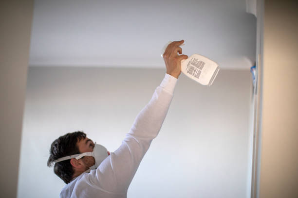 Best Mold Testing  in West Allis, WI