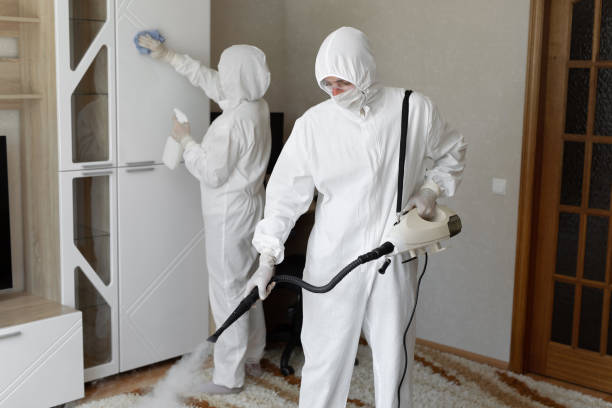 Certified Mold Removal in West Allis, WI